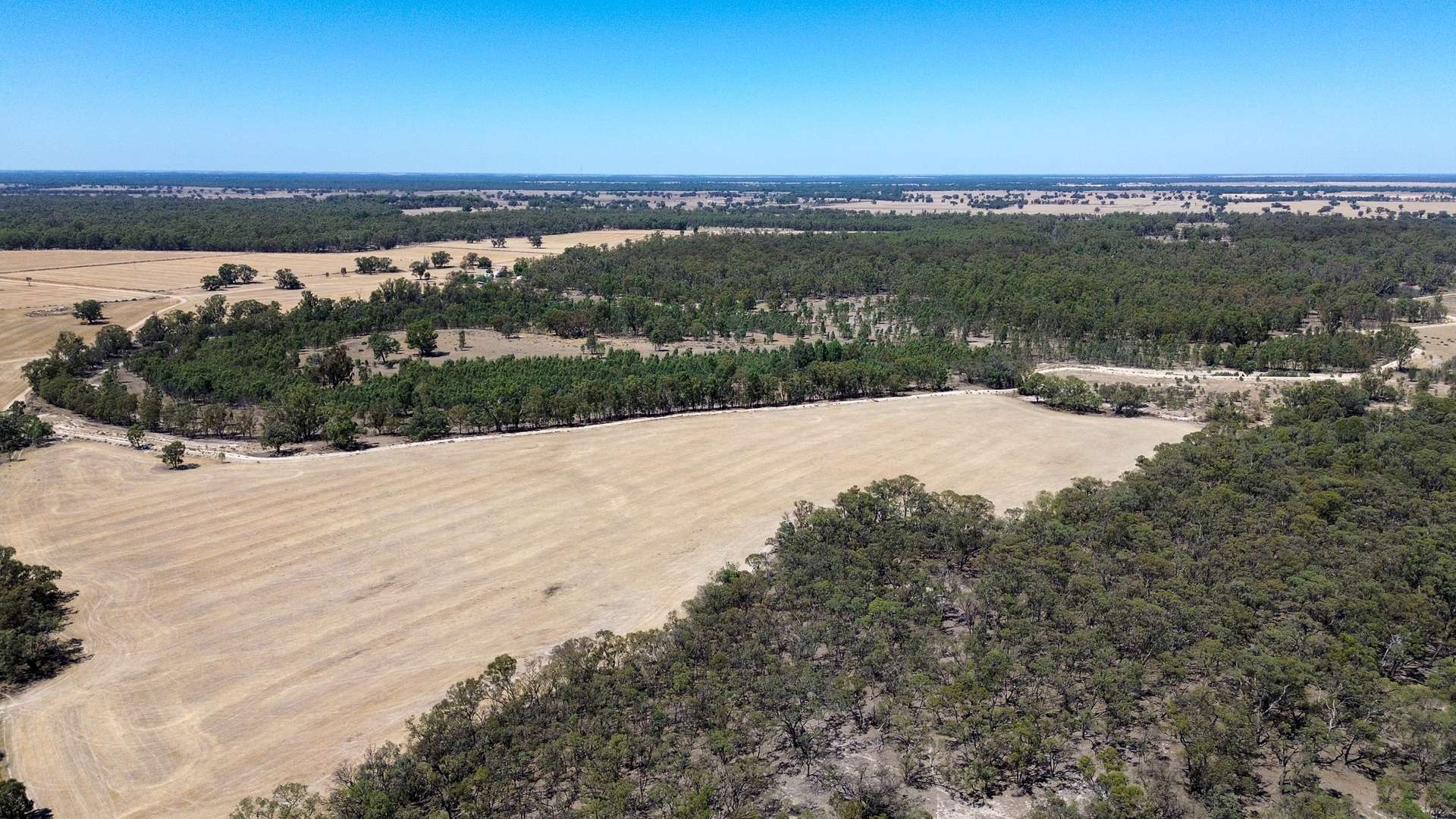 391 Boxdale Road, Deniliquin For Sale by Farmbuy.com - image 5