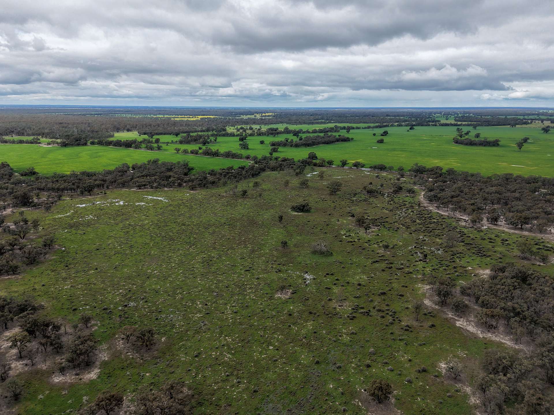 391 Boxdale Road, Deniliquin For Sale by Farmbuy.com - image 10