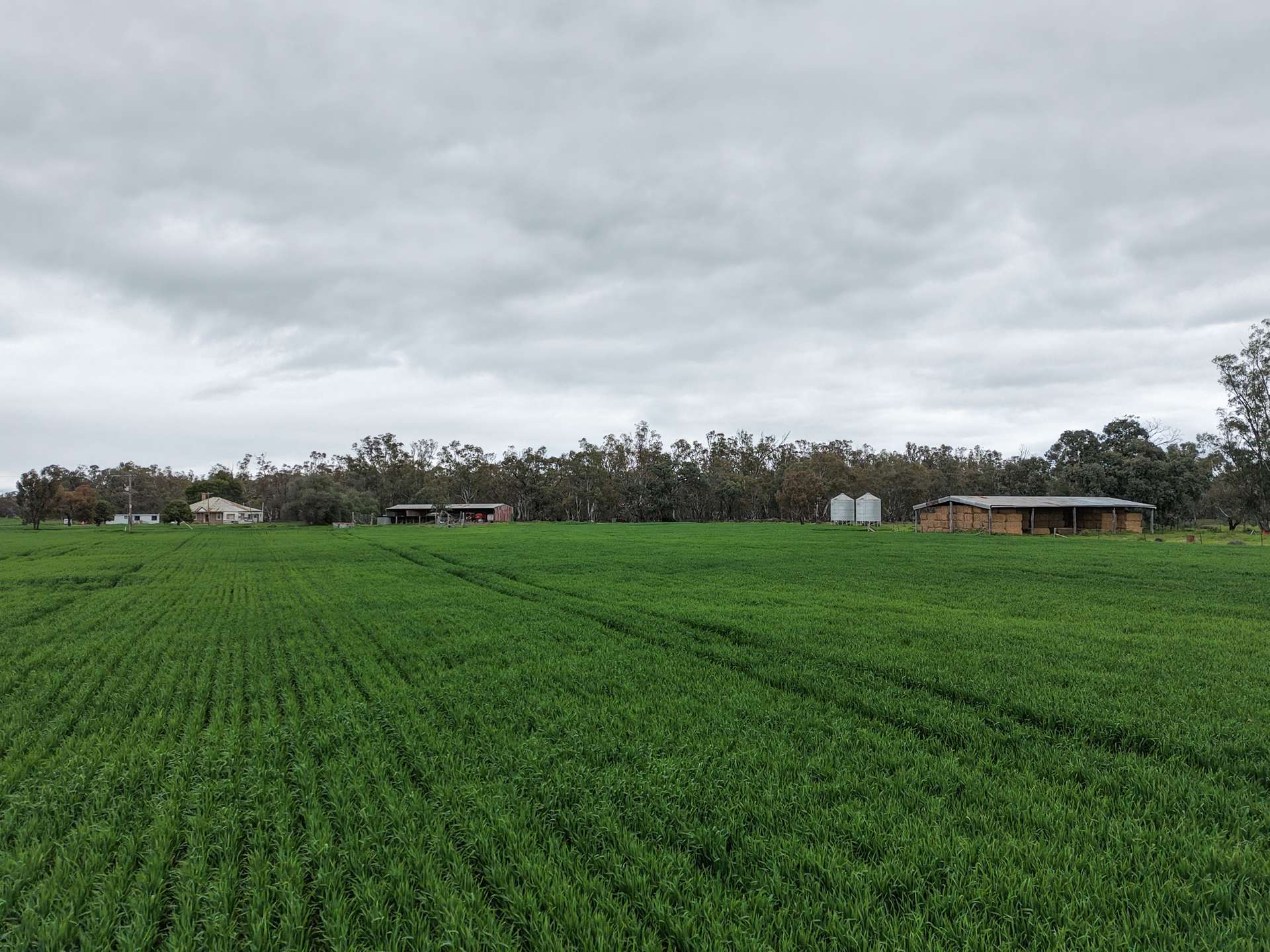 391 Boxdale Road, Deniliquin For Sale by Farmbuy.com - image 16