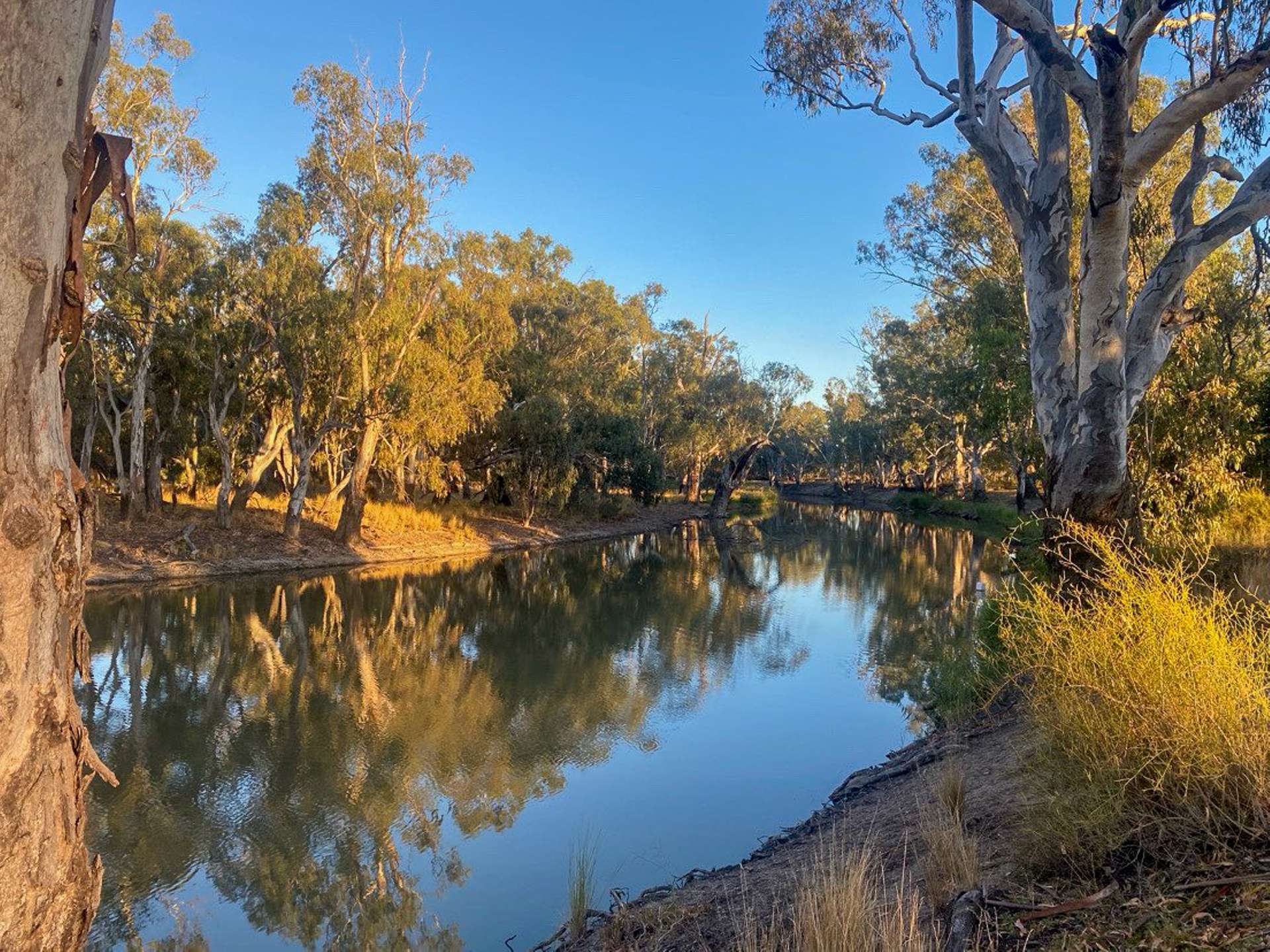 391 Boxdale Road, Deniliquin For Sale by Farmbuy.com - image 11