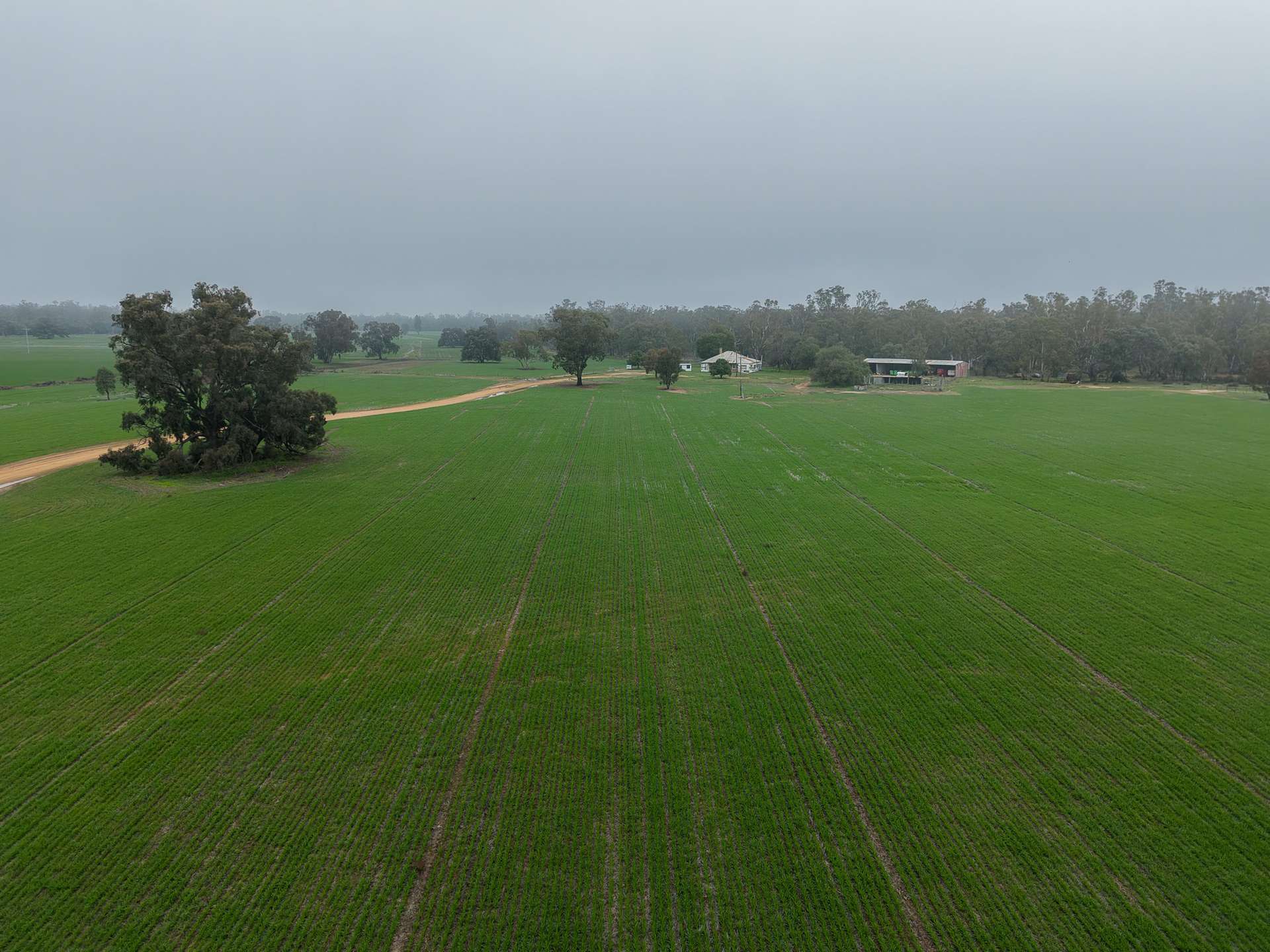 391 Boxdale Road, Deniliquin For Sale by Farmbuy.com - image 1