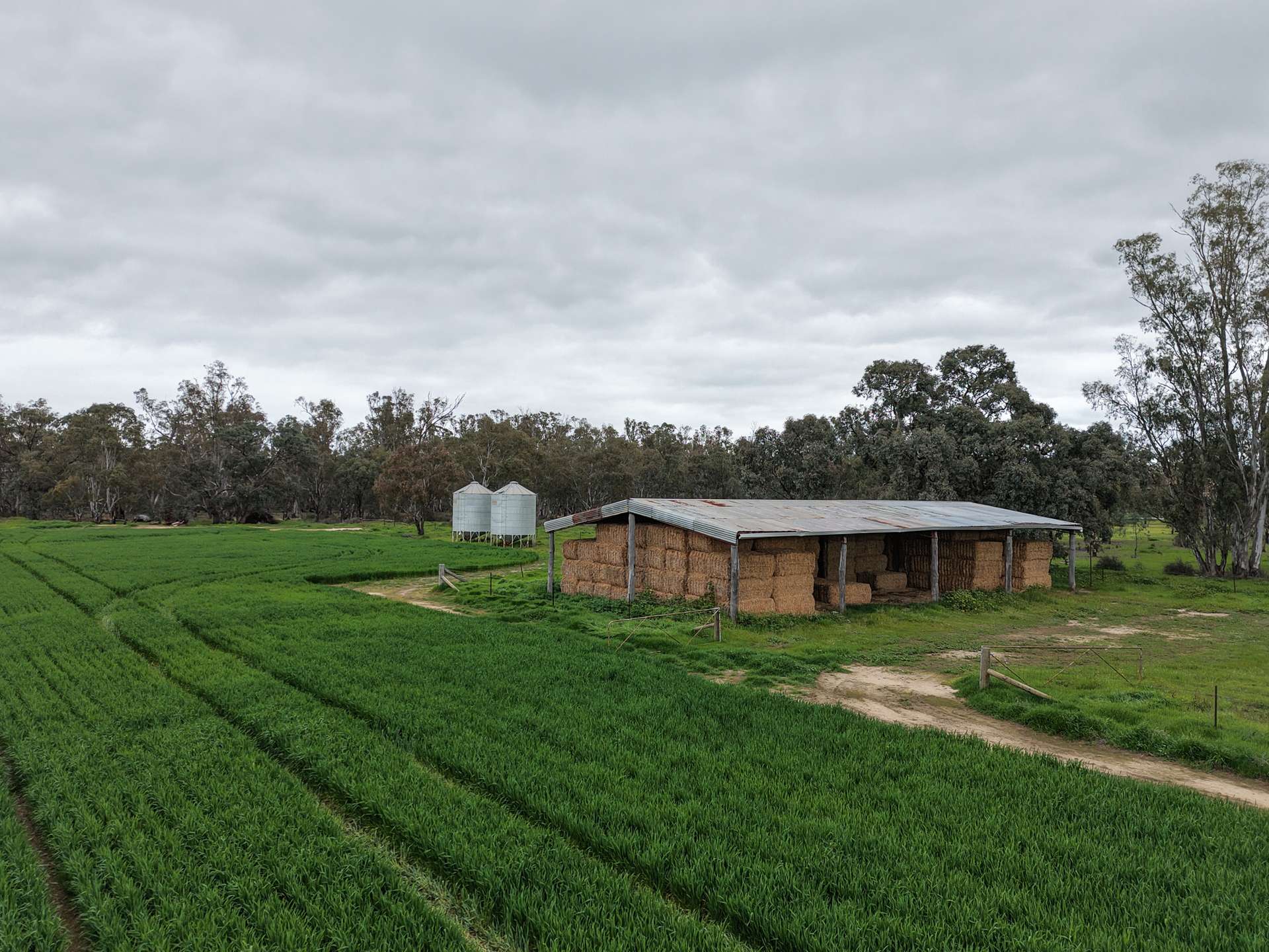 391 Boxdale Road, Deniliquin For Sale by Farmbuy.com - image 17