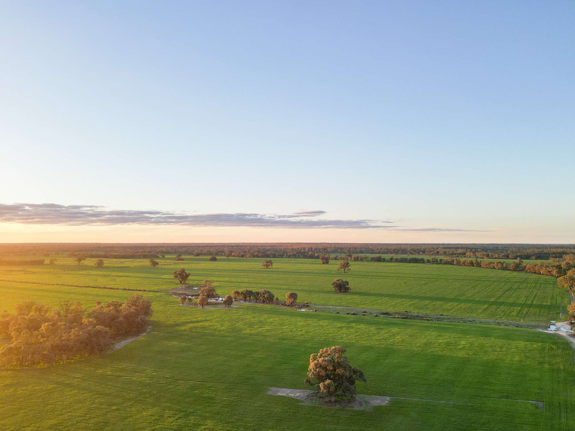 391 Boxdale Road, Deniliquin For Sale by Farmbuy.com - image 2