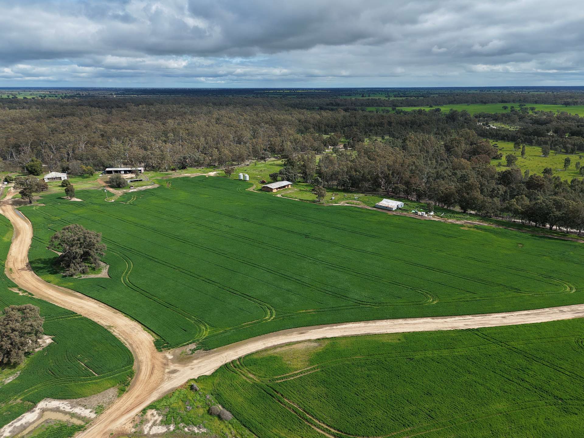 391 Boxdale Road, Deniliquin For Sale by Farmbuy.com - image 7