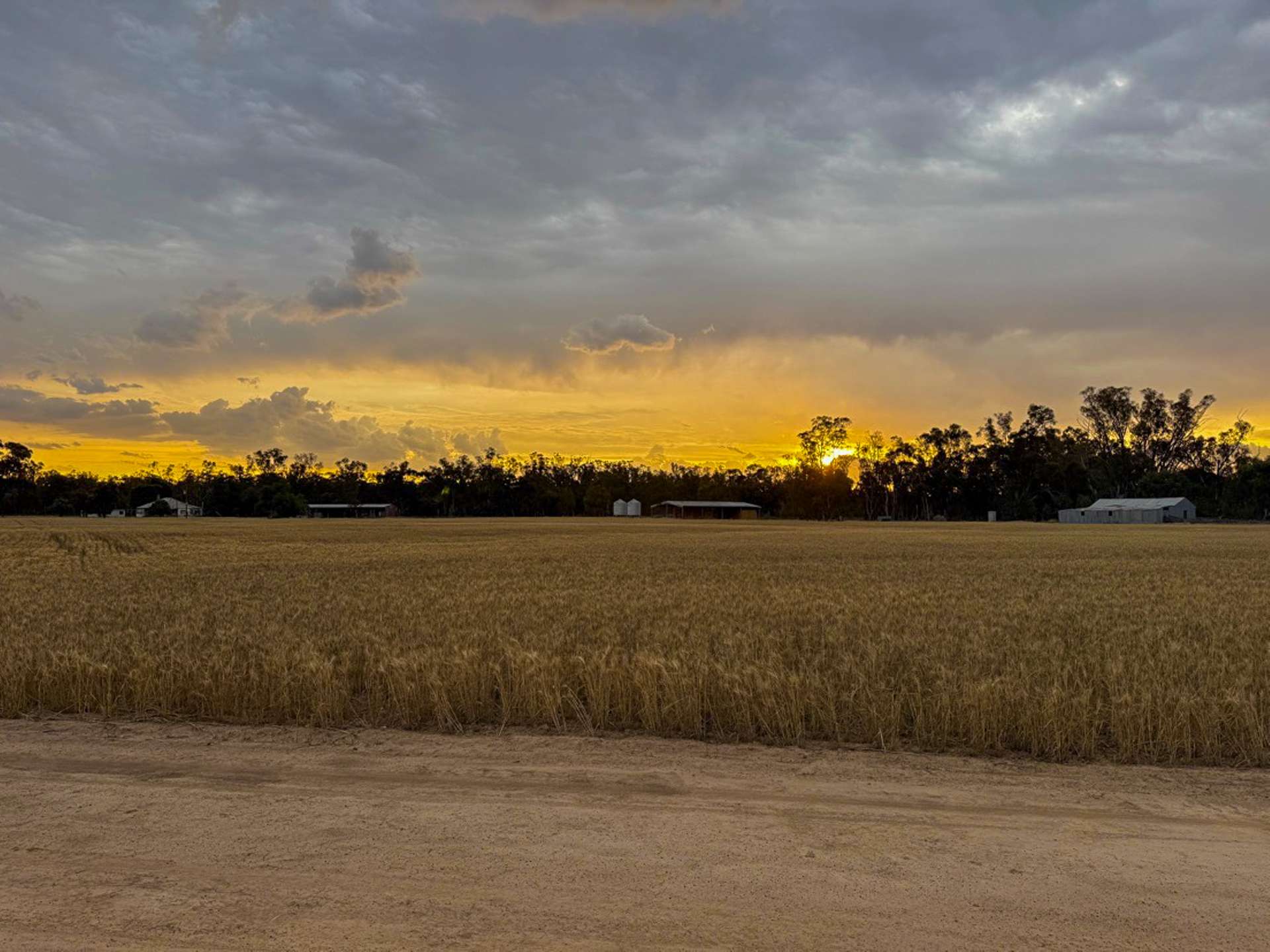 391 Boxdale Road, Deniliquin For Sale by Farmbuy.com - image 6