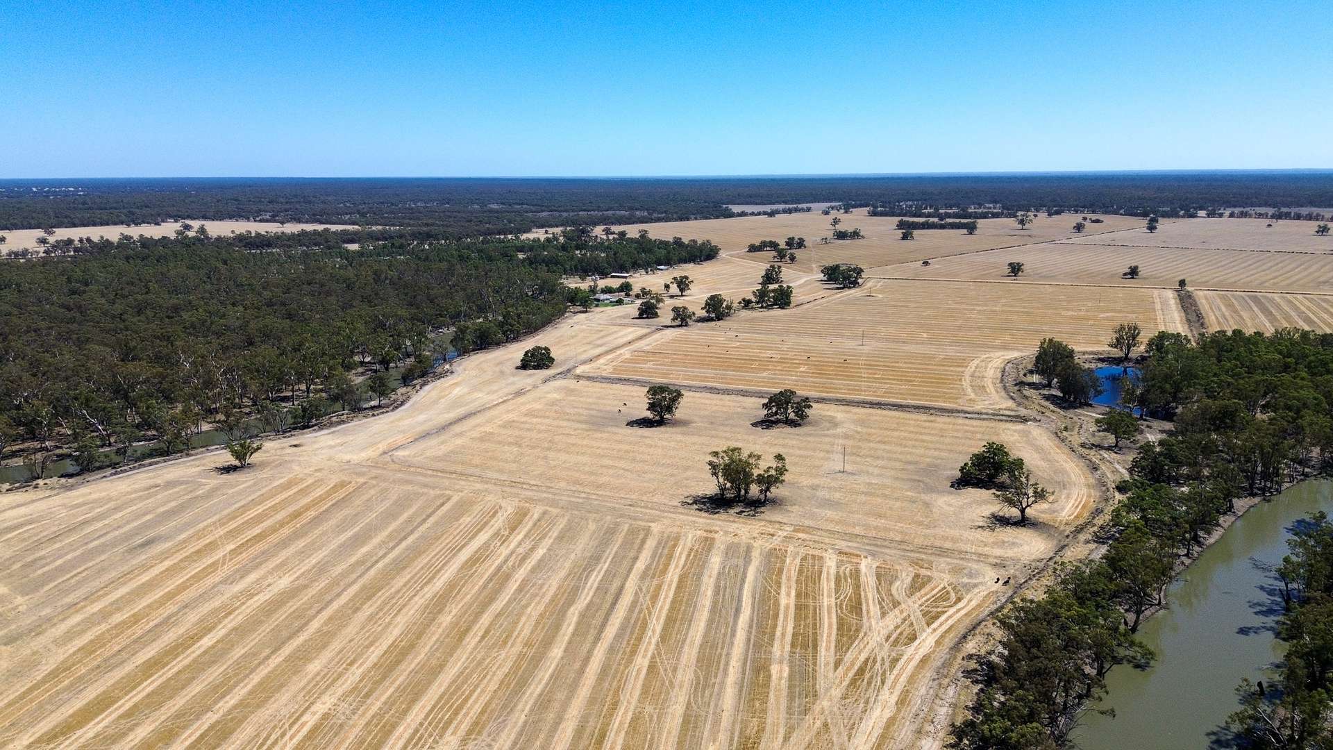 391 Boxdale Road, Deniliquin For Sale by Farmbuy.com - image 4