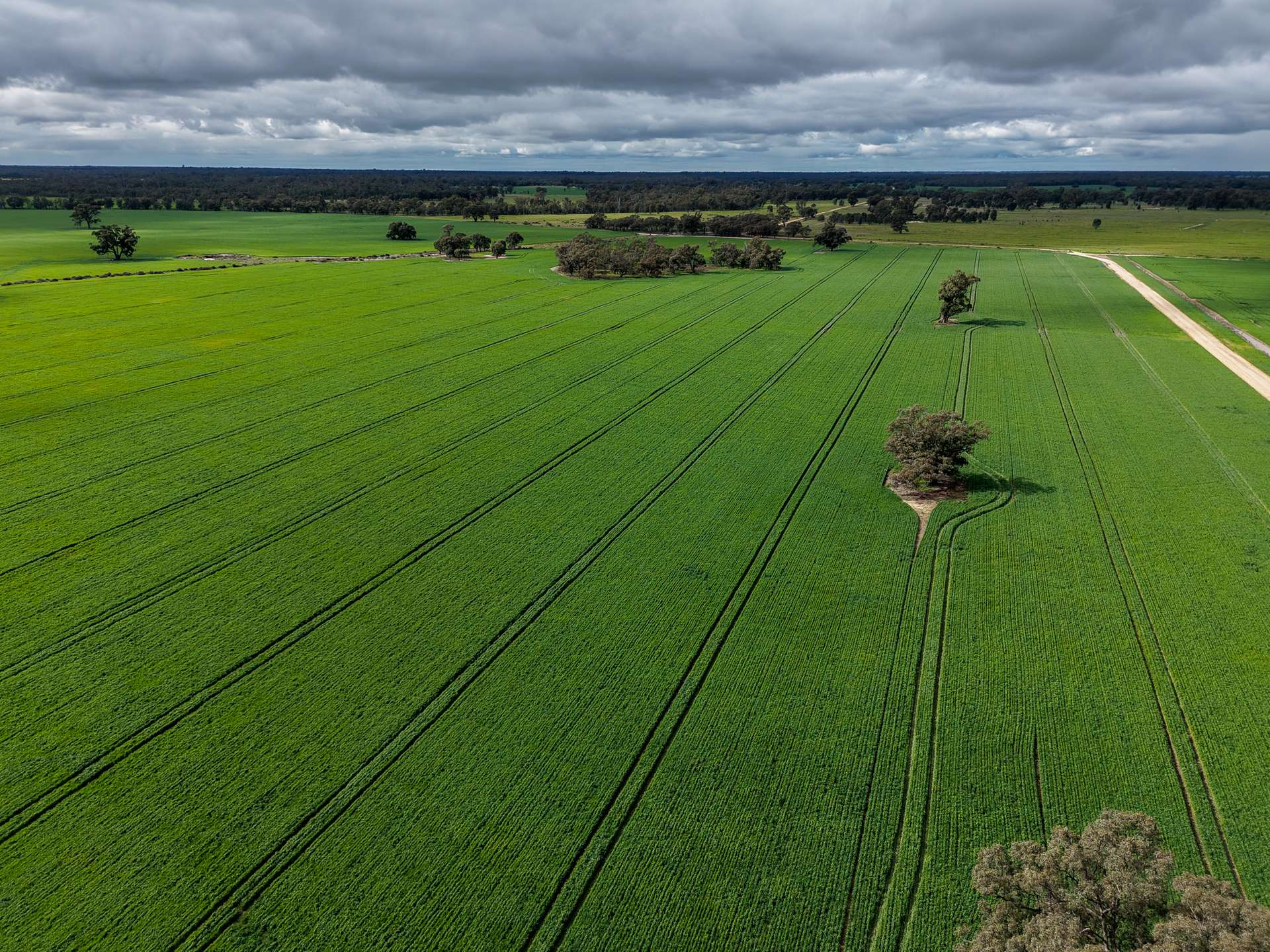 391 Boxdale Road, Deniliquin For Sale by Farmbuy.com - image 2