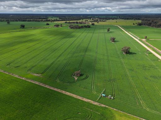 391 Boxdale Road, Deniliquin NSW 2710