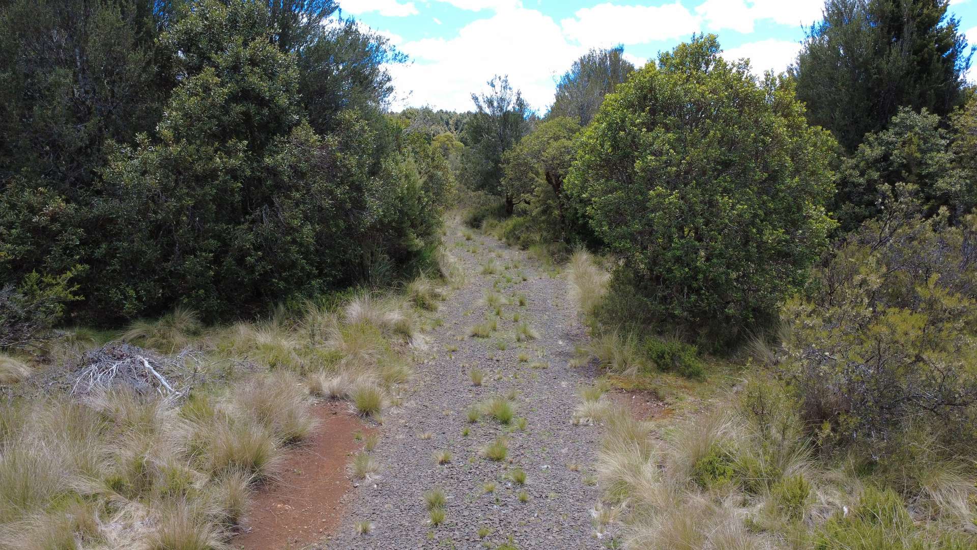 396 Waratah Rd, Waratah For Sale by Farmbuy.com - image 4