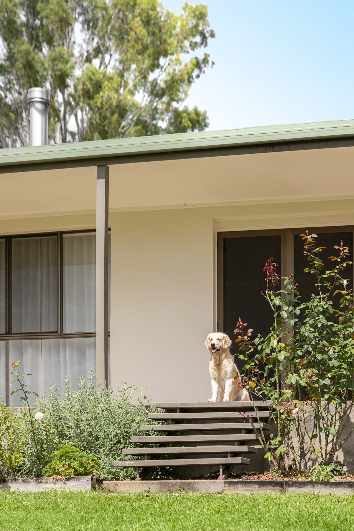 64 Lawnville Road, Black Mountain For Sale by Farmbuy.com - image 5