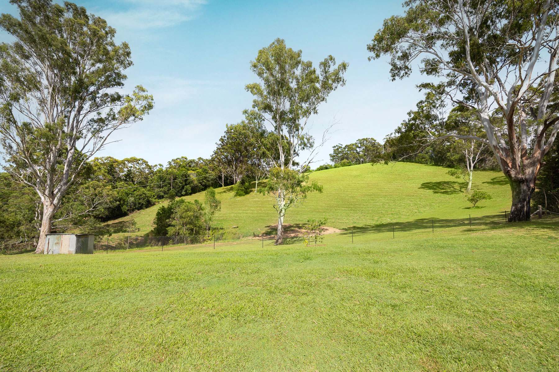 64 Lawnville Road, Black Mountain For Sale by Farmbuy.com - image 3