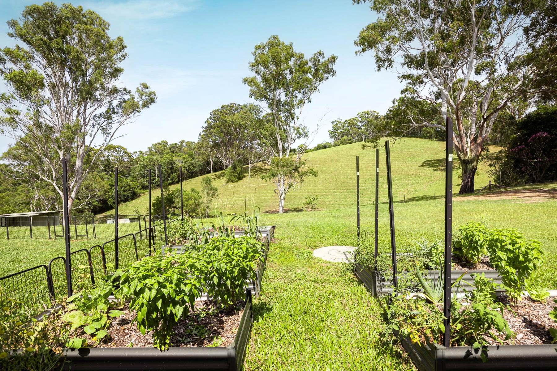 64 Lawnville Road, Black Mountain For Sale by Farmbuy.com - image 2