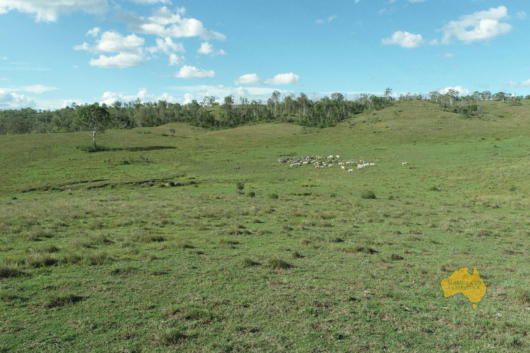 527 KILLERS ROAD, New Moonta For Sale by Farmbuy.com - image 22