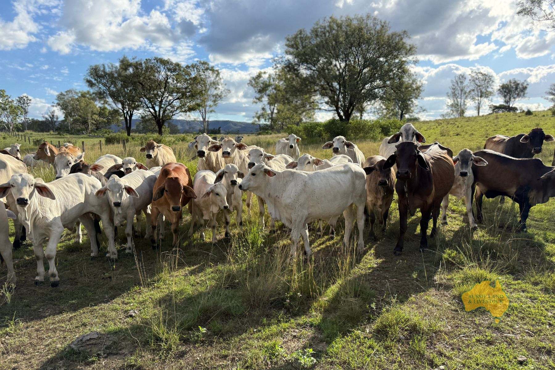 527 KILLERS ROAD, New Moonta For Sale by Farmbuy.com - image 18