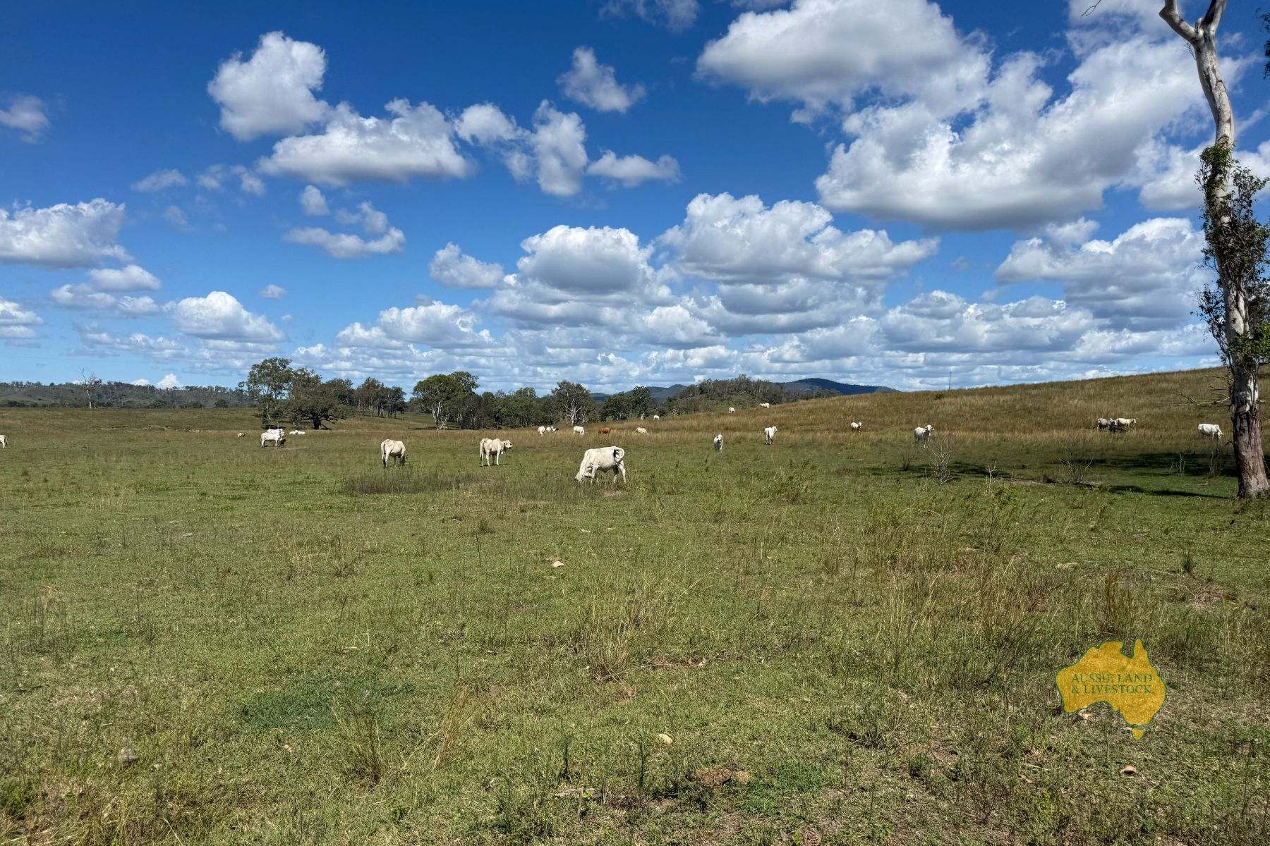 527 KILLERS ROAD, New Moonta For Sale by Farmbuy.com - image 26