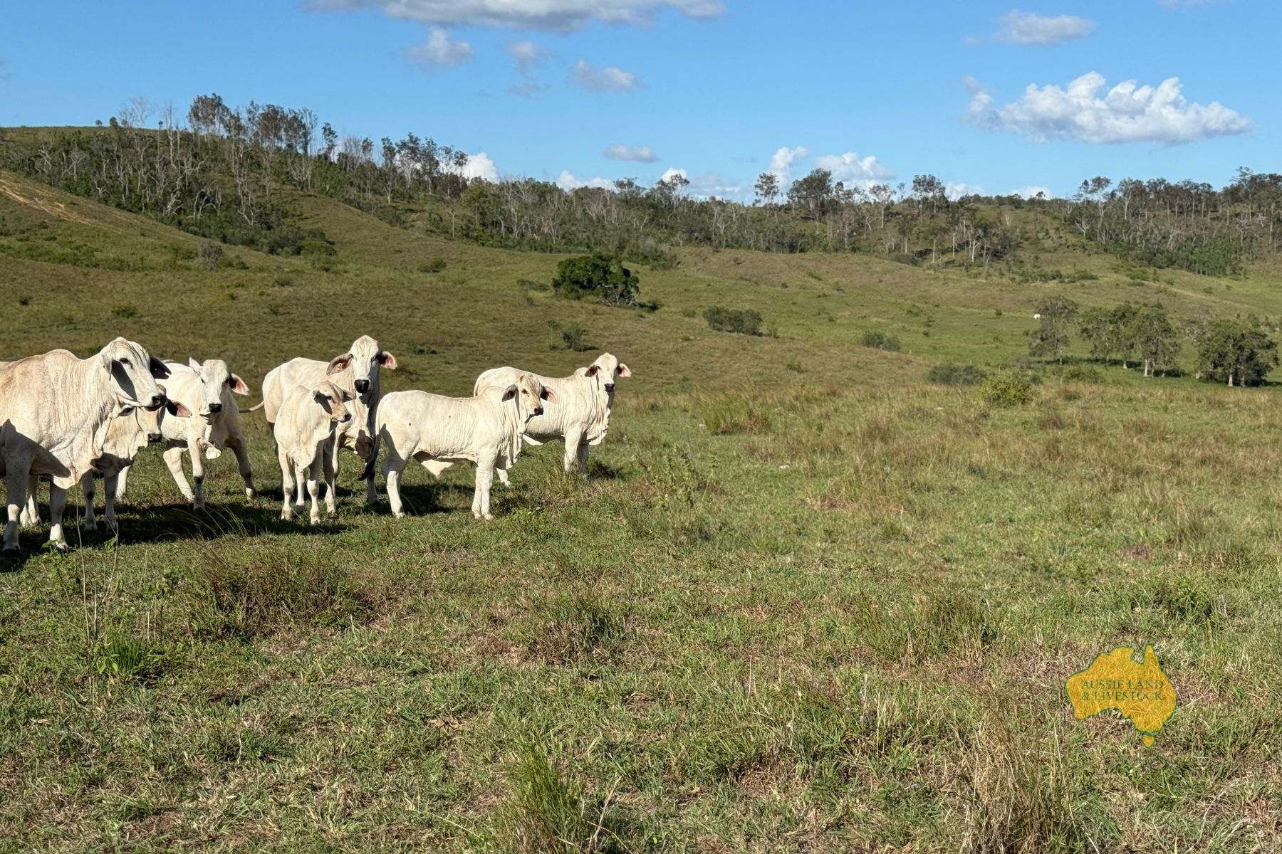 527 KILLERS ROAD, New Moonta For Sale by Farmbuy.com - image 35
