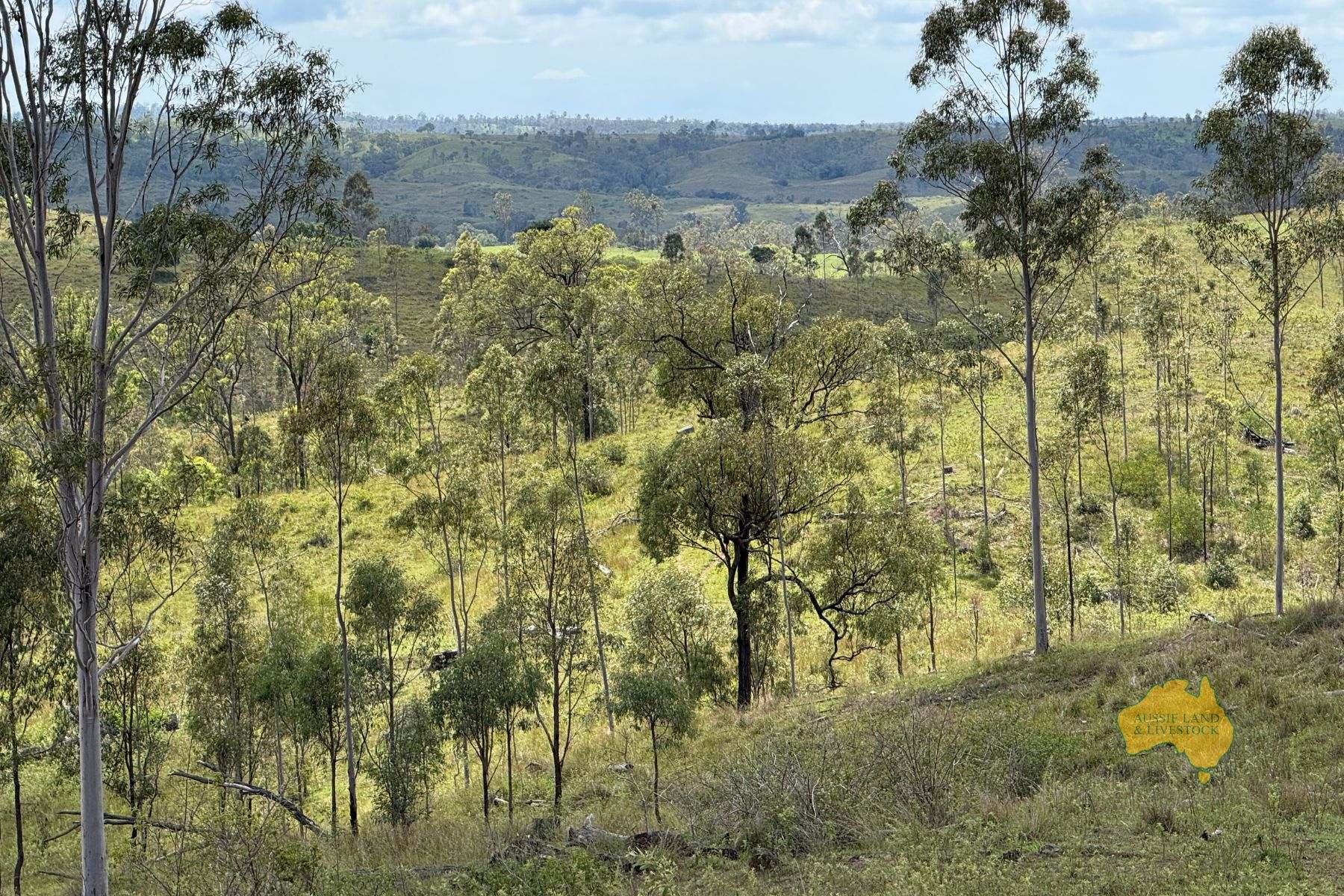 527 KILLERS ROAD, New Moonta For Sale by Farmbuy.com - image 25