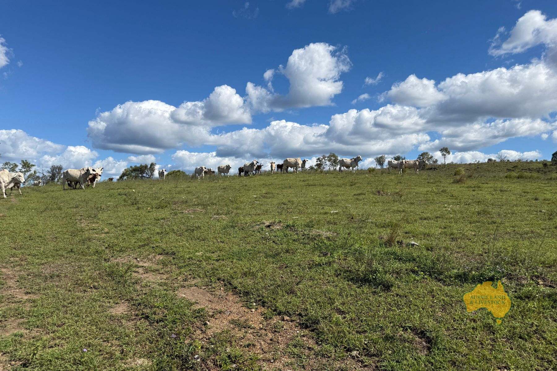 527 KILLERS ROAD, New Moonta For Sale by Farmbuy.com - image 32