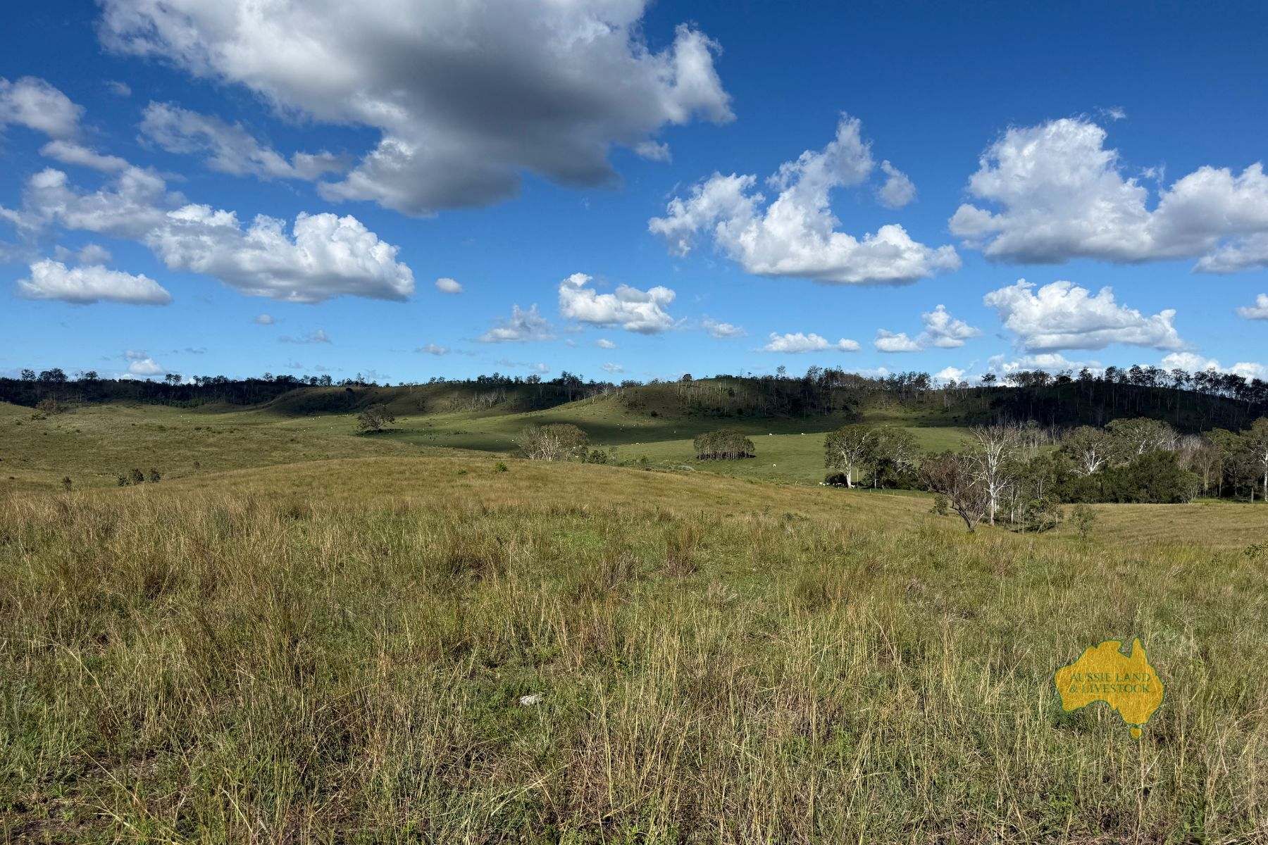 527 KILLERS ROAD, New Moonta For Sale by Farmbuy.com - image 23