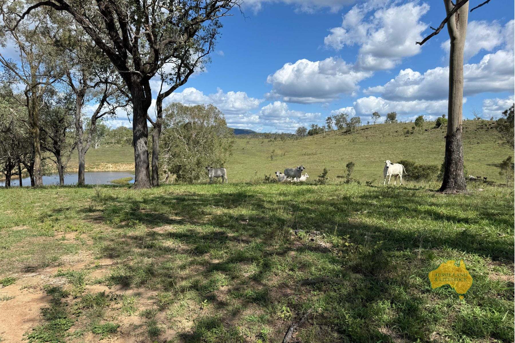 527 KILLERS ROAD, New Moonta For Sale by Farmbuy.com - image 31