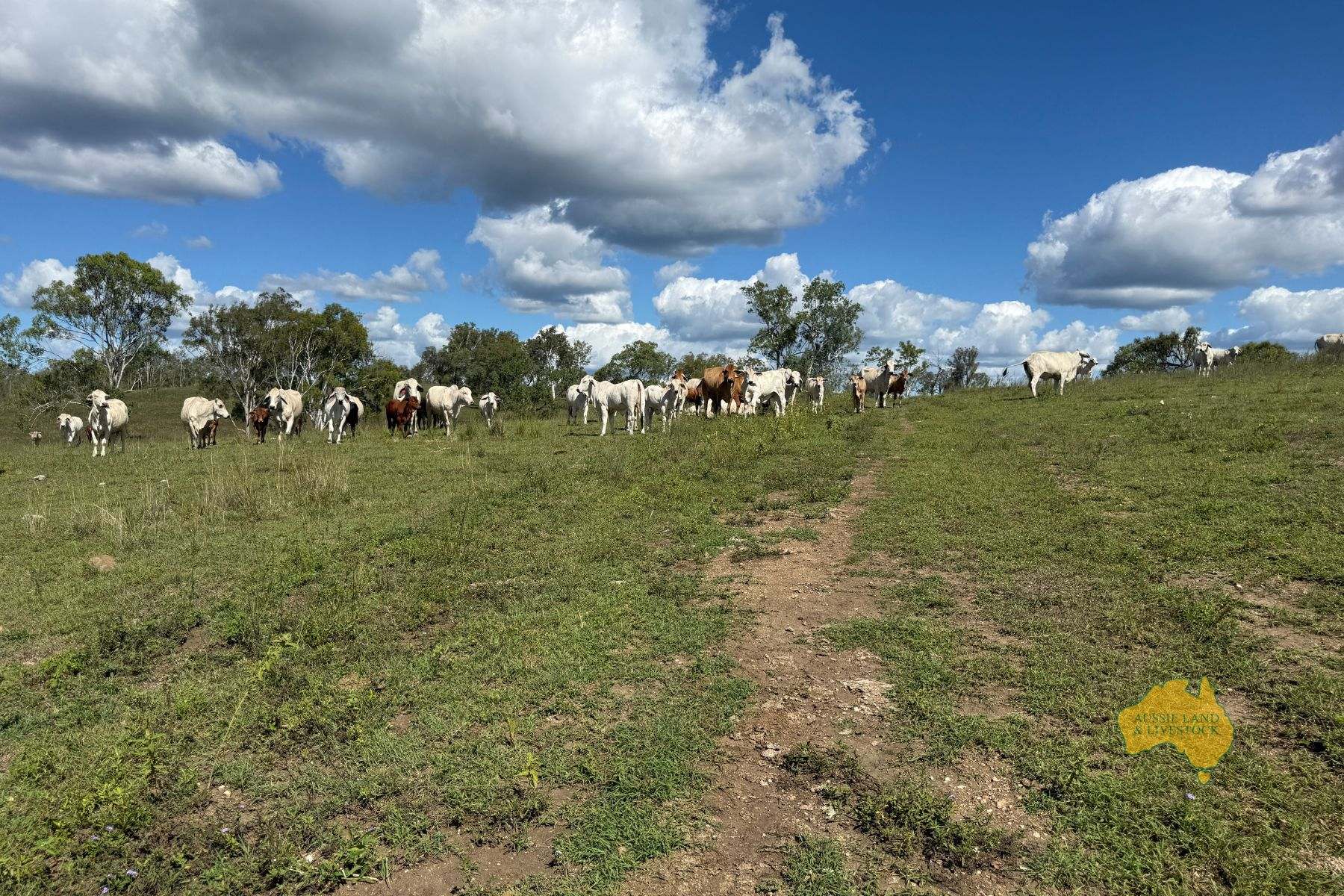 527 KILLERS ROAD, New Moonta For Sale by Farmbuy.com - image 34