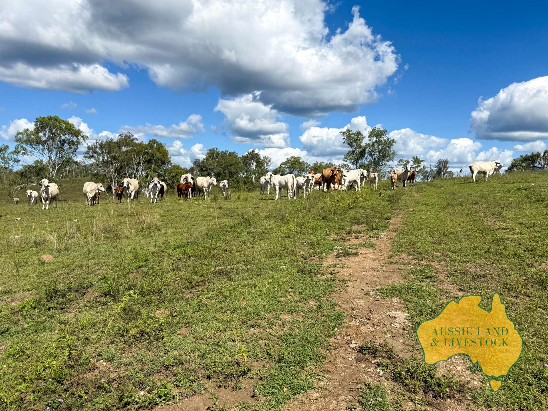 527 KILLERS ROAD, New Moonta For Sale by Farmbuy.com - image 9
