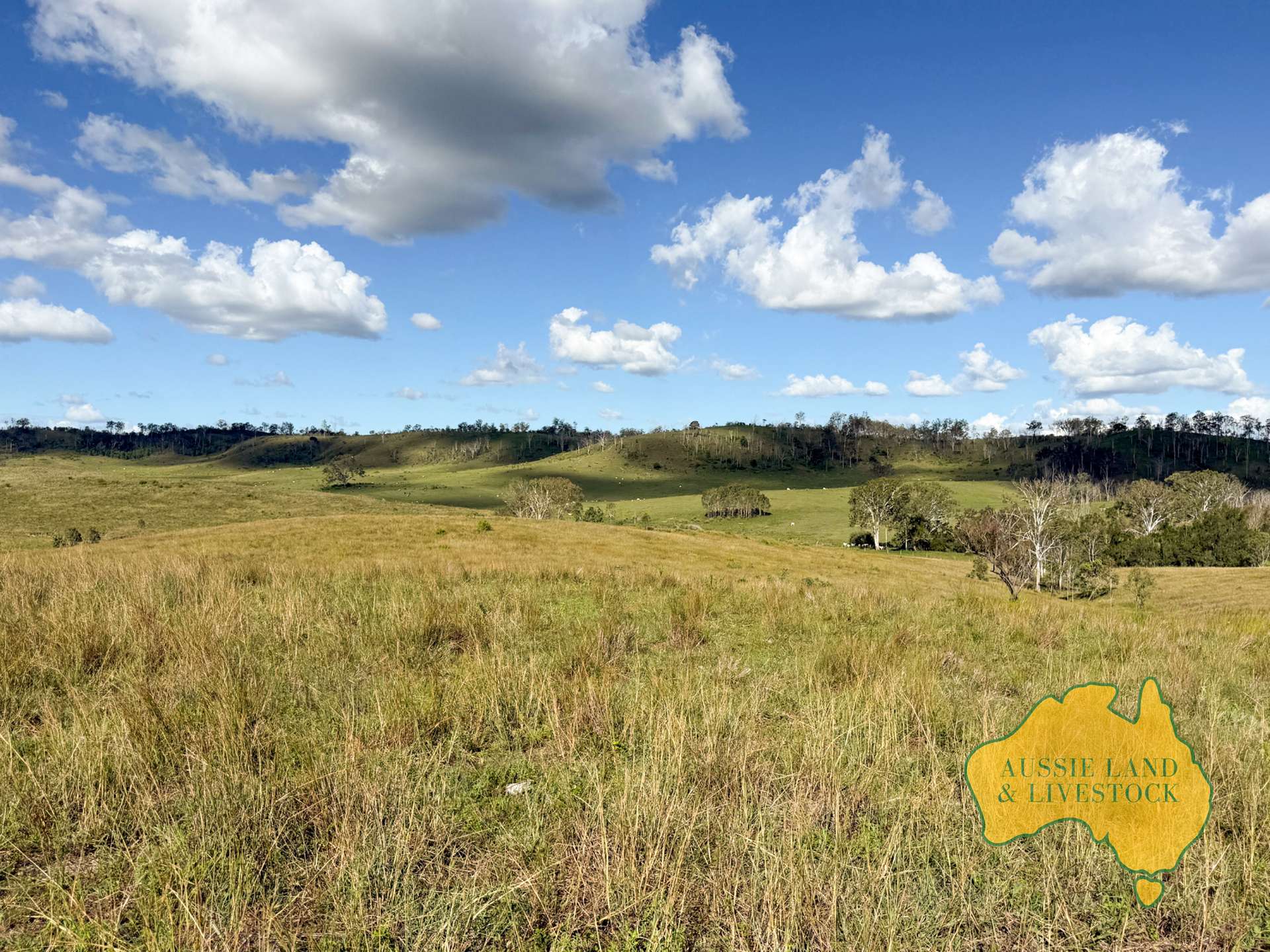 527 KILLERS ROAD, New Moonta For Sale by Farmbuy.com - image 18