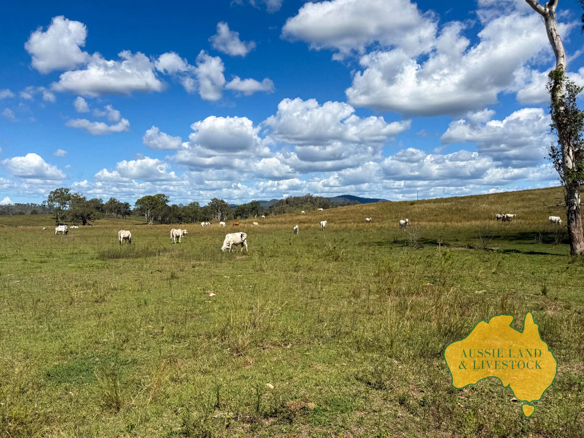527 KILLERS ROAD, New Moonta For Sale by Farmbuy.com - image 8