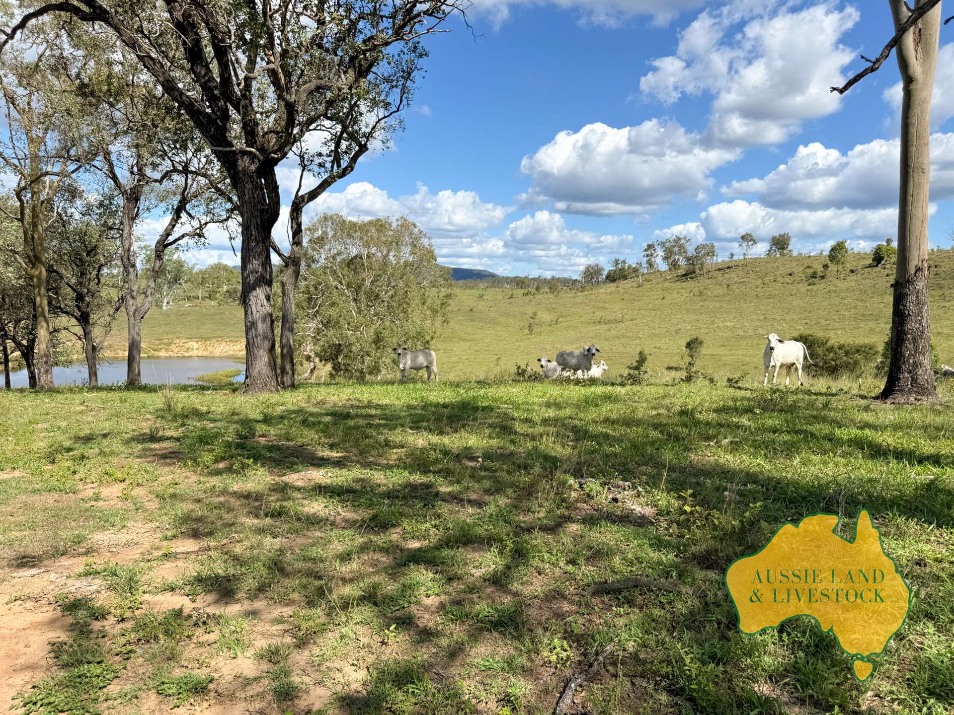 527 KILLERS ROAD, New Moonta For Sale by Farmbuy.com - image 10