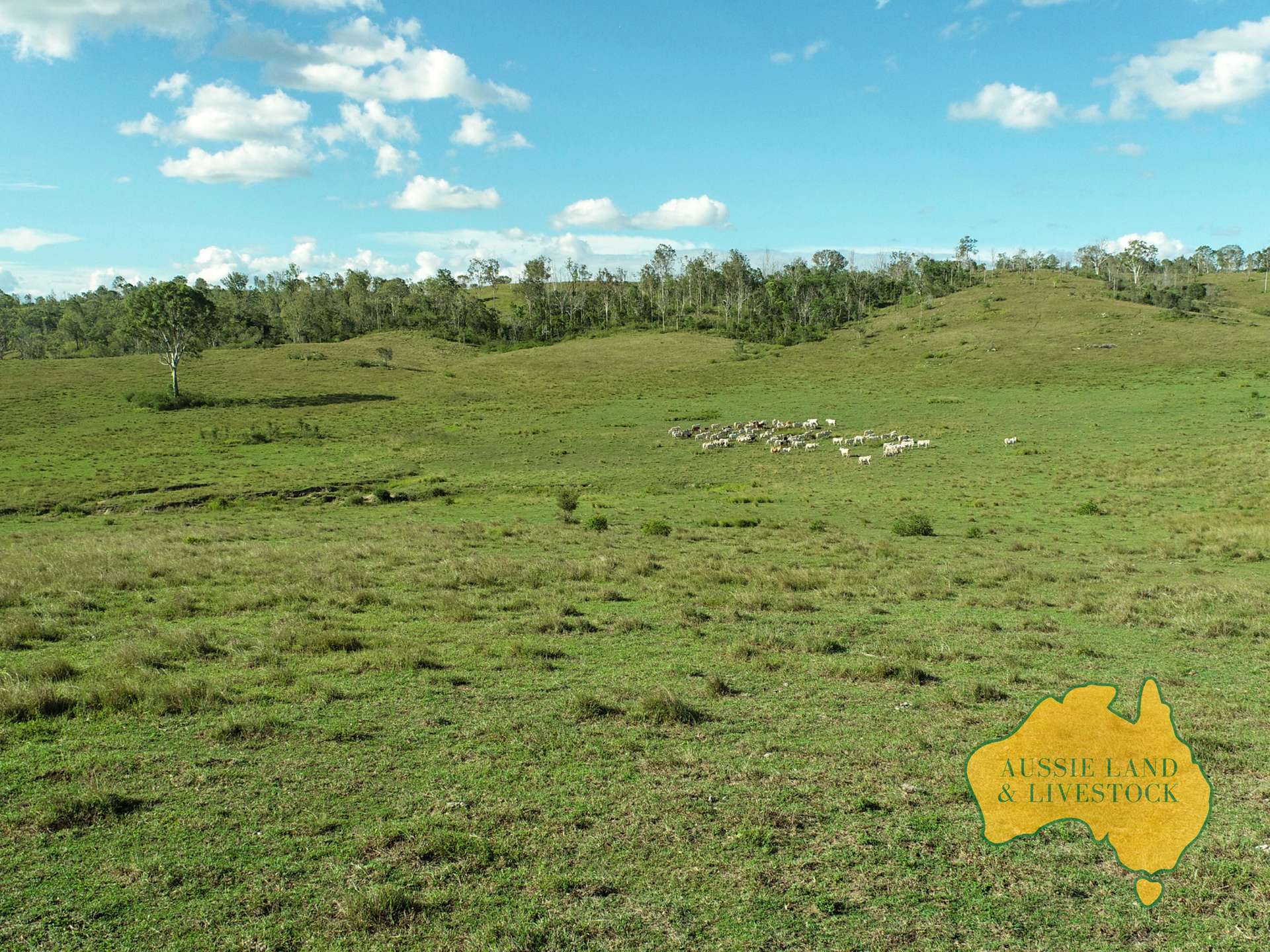 527 KILLERS ROAD, New Moonta For Sale by Farmbuy.com - image 6