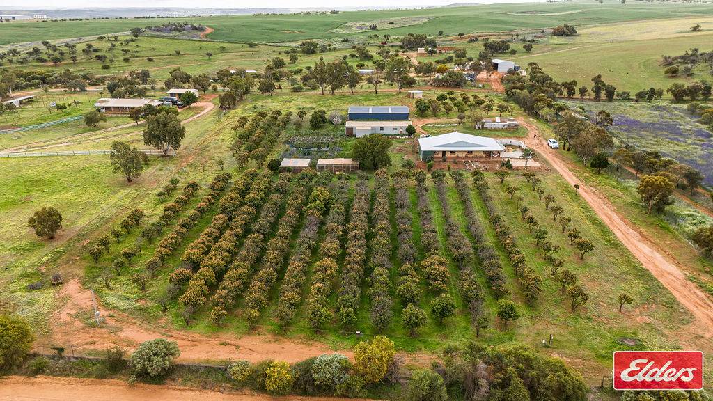 45 Stone Street, Northampton WA 6535