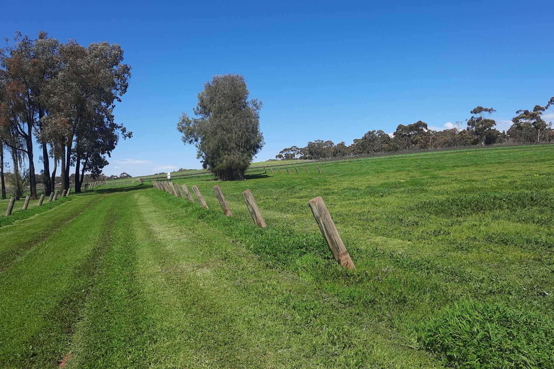 285 Neagles Rock Road, Clare For Sale by Farmbuy.com - image 15