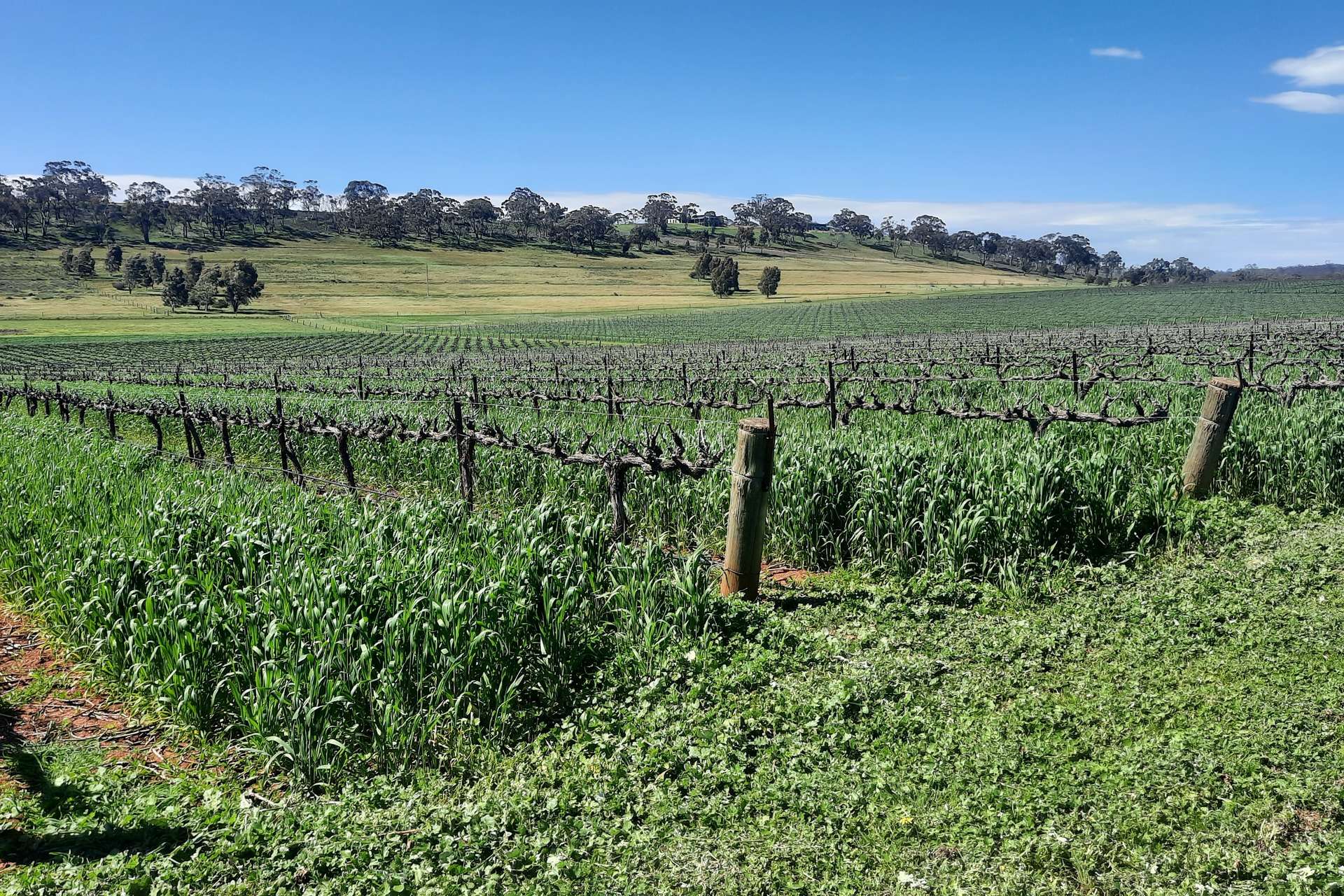 285 Neagles Rock Road, Clare For Sale by Farmbuy.com - image 11