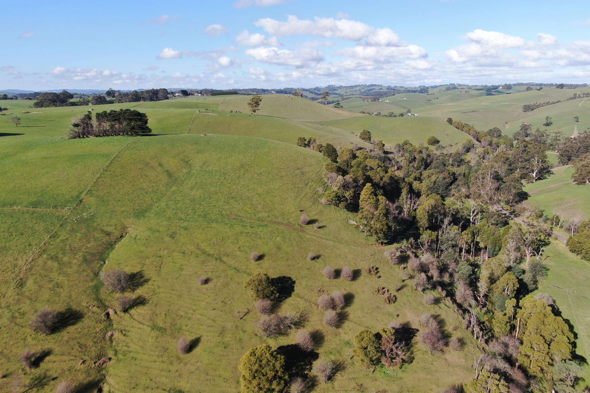 790 Soldiers Road, Poowong For Sale by Farmbuy.com - image 10