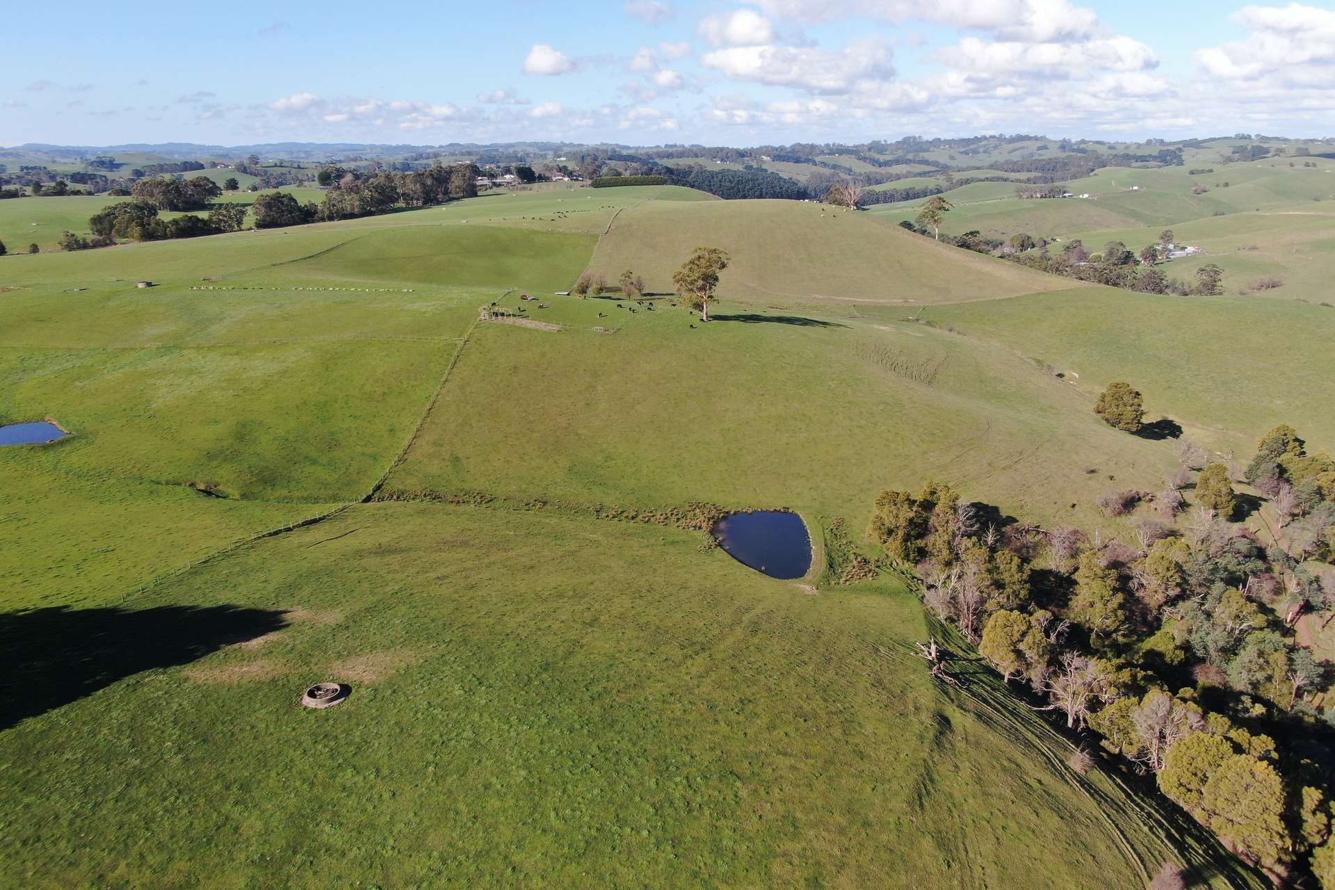 790 Soldiers Road, Poowong For Sale by Farmbuy.com - image 8