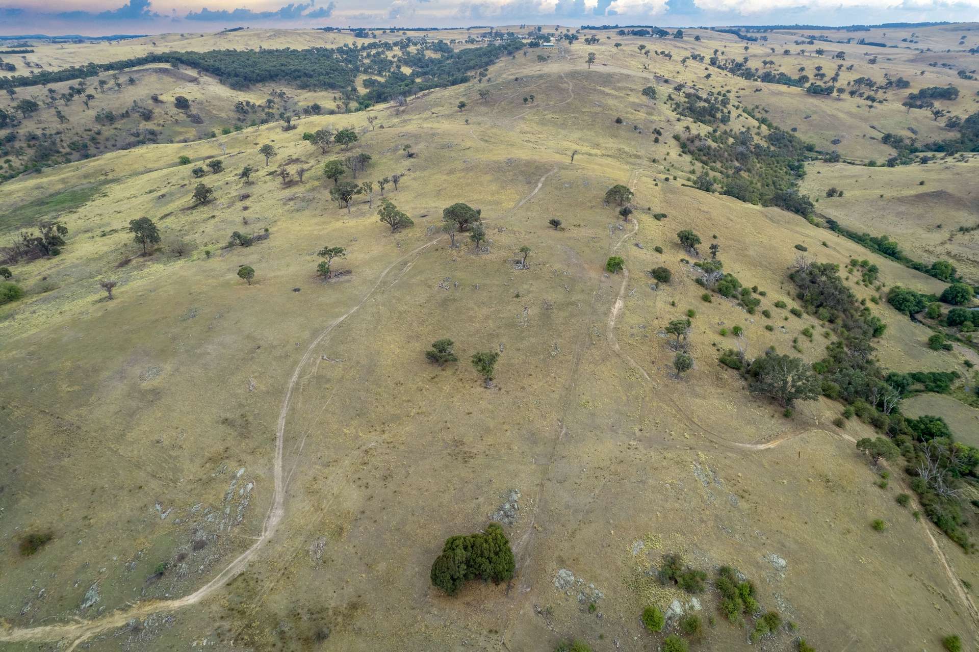 2400 Sapphire Road, Wheeo For Sale by Farmbuy.com - image 15
