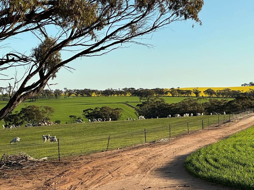 2130 Long Forrest Road, Mumberkine WA 6401