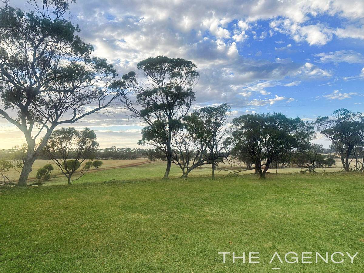 2130 Long Forrest Road, Mumberkine Sold by Farmbuy.com - image 16