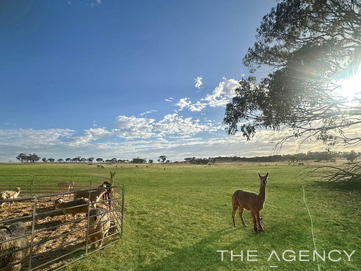 2130 Long Forrest Road, Mumberkine Sold by Farmbuy.com - image 3