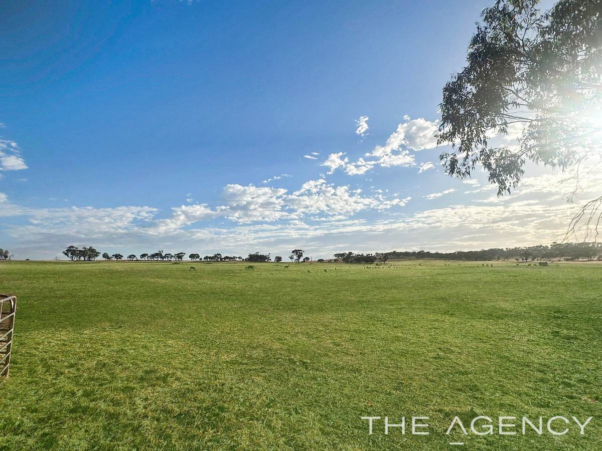 2130 Long Forrest Road, Mumberkine Sold by Farmbuy.com - image 12