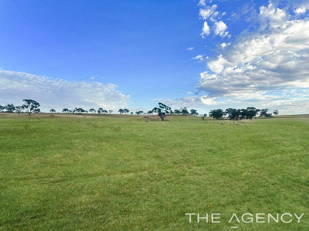 2130 Long Forrest Road, Mumberkine Sold by Farmbuy.com - image 9