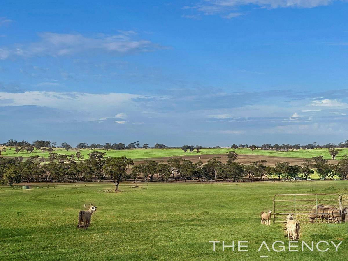 2130 Long Forrest Road, Mumberkine Sold by Farmbuy.com - image 18