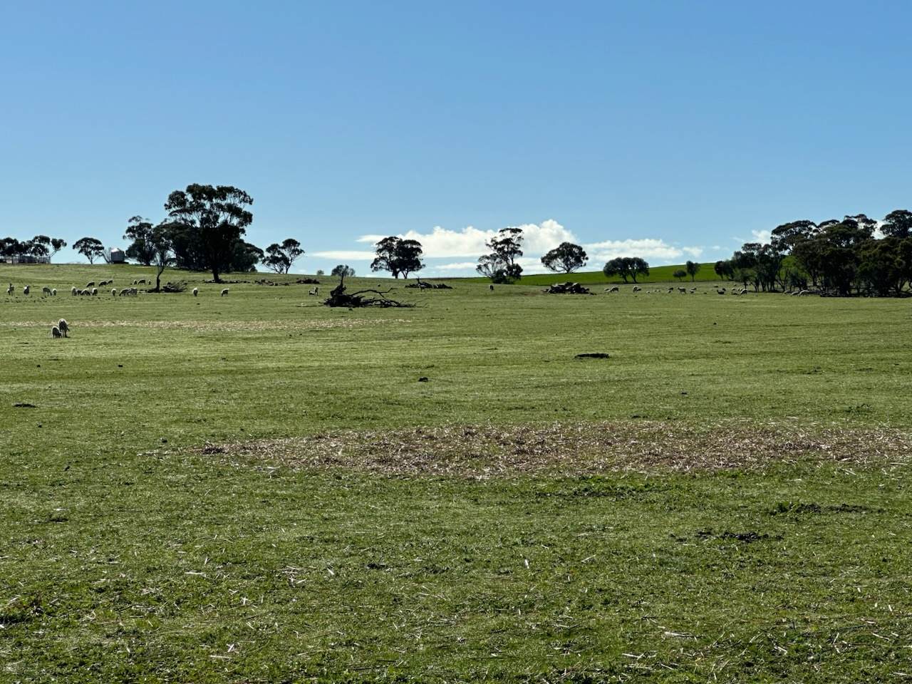 2130 Long Forrest Road, Mumberkine Sold by Farmbuy.com - image 4
