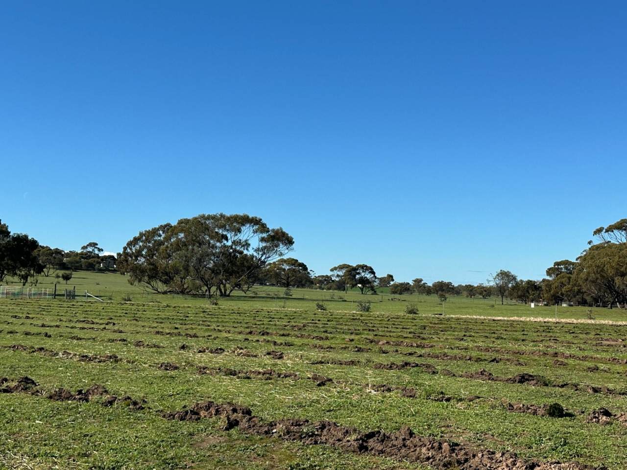 2130 Long Forrest Road, Mumberkine Sold by Farmbuy.com - image 6