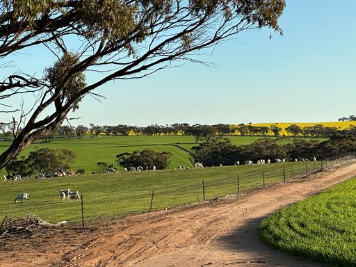 2130 Long Forrest Road, Mumberkine WA 6401