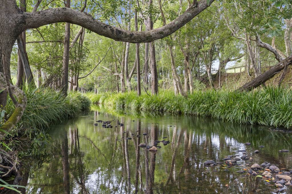 160 Upper Crystal Creek Road, Upper Crystal Creek NSW 2484