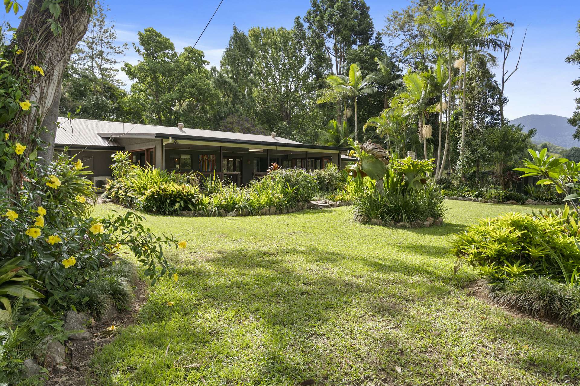 160 Upper Crystal Creek Road, Upper Crystal Creek For Sale by Farmbuy.com - image 12
