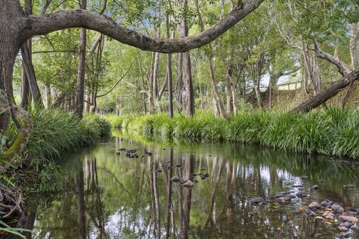 160 Upper Crystal Creek Road, Upper Crystal Creek NSW 2484