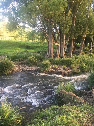 160 Upper Crystal Creek Road, Upper Crystal Creek NSW 2484