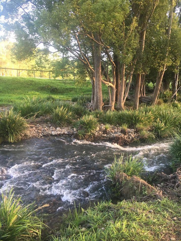160 Upper Crystal Creek Road, Upper Crystal Creek NSW 2484